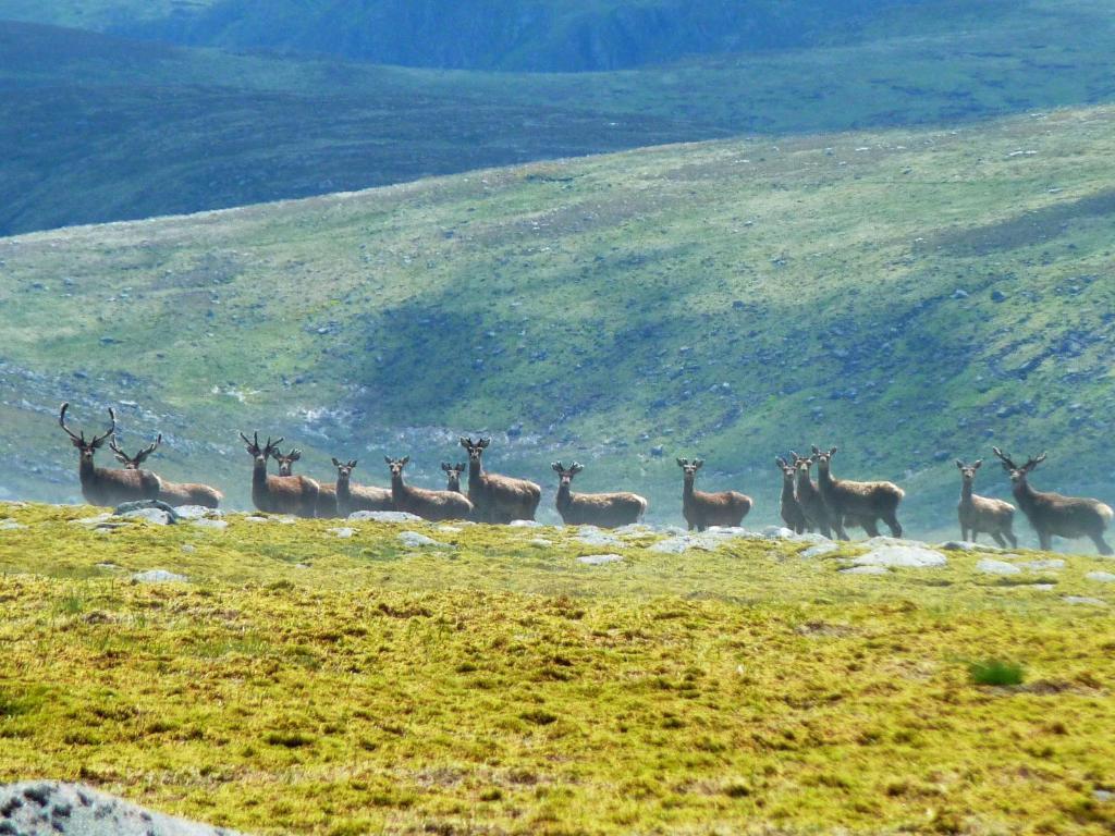 Braemar Youth Hostel Bagian luar foto